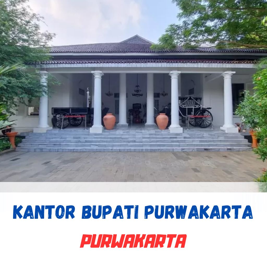 portofolio website (7)